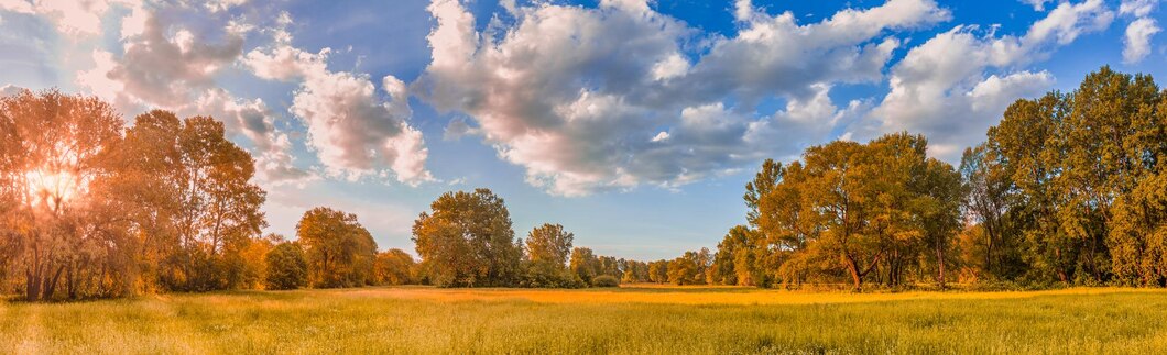 autumn trees
