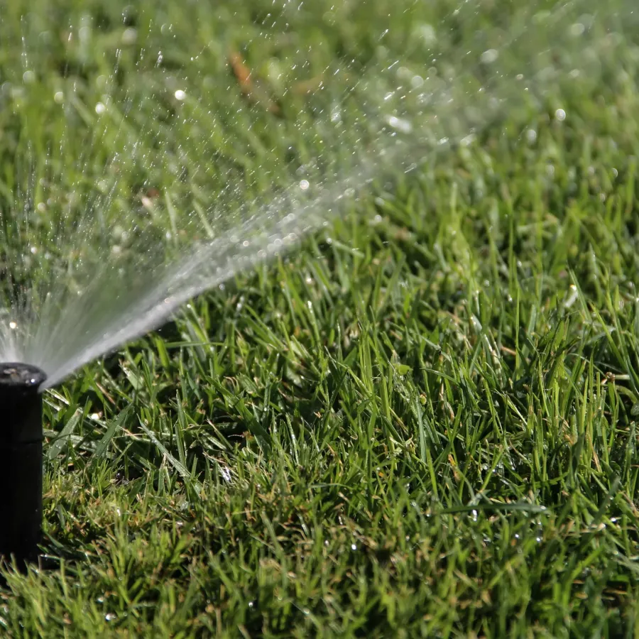 sprinkler